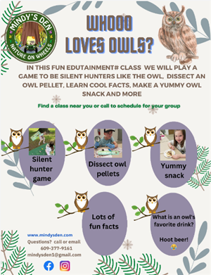 Owls- Mindy's Den